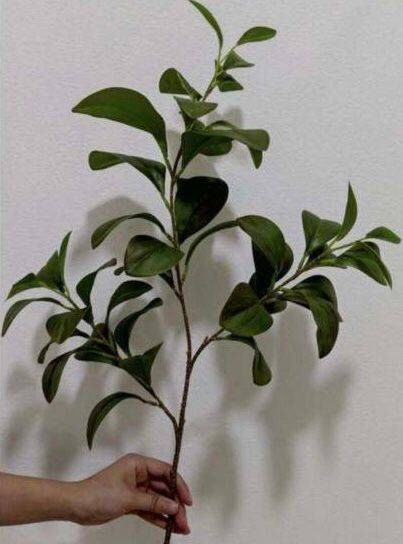 زهر صناعي غصن ماجنوليا - اخضر