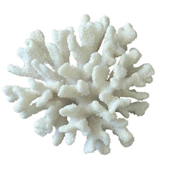 تحفة ديكور كورال على شكل مرجان كبير