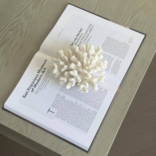 تحفة ديكور كورال على شكل مرجان كبير