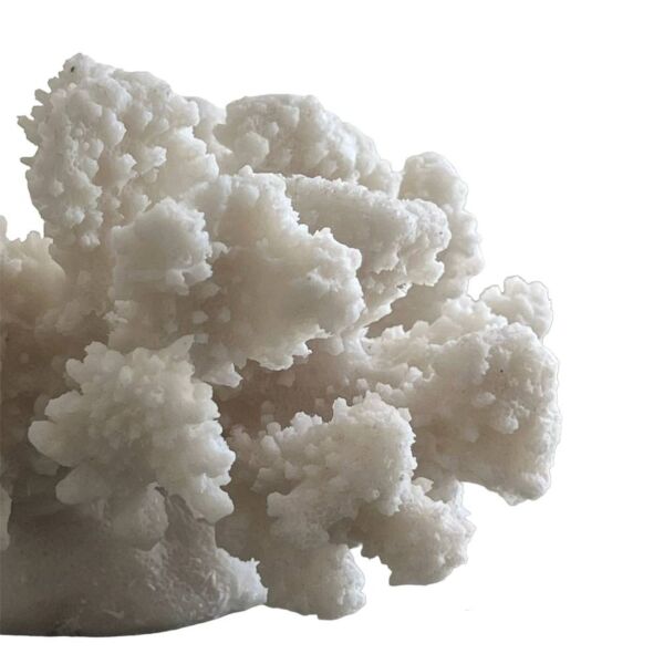 تحفة ديكور كورال على شكل مرجان صغير