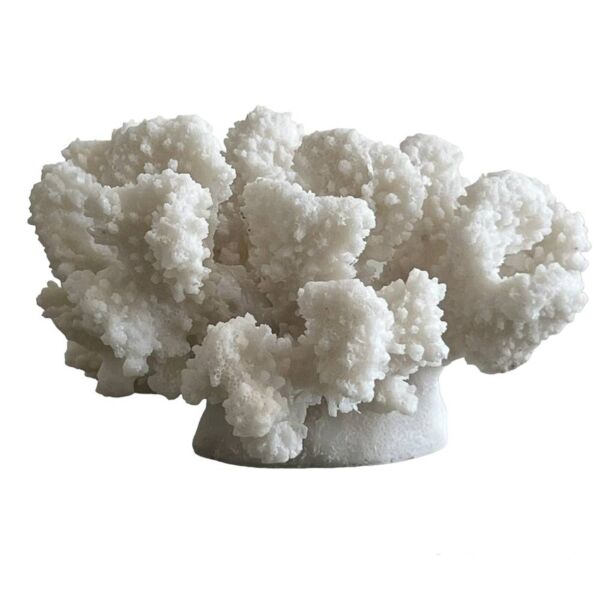 تحفة ديكور كورال على شكل مرجان صغير