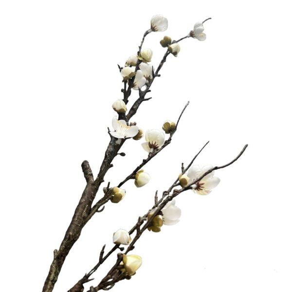 فرع نبات صناعي زهرة القطن