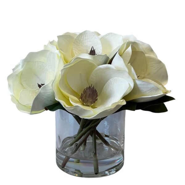 فازه ماجنوليا كبير