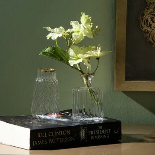 مزهرية صغيرة أكتوس