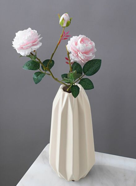 فازة مودرة لاينز -بيج