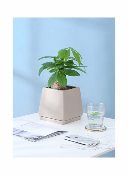 مركن زرع مربع مع صينية منفصلة بيج