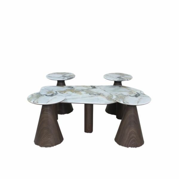 طقم طاولة قهوة وطاولات جانبية 5 قطع بيسال - ابيض وخشبي غامق