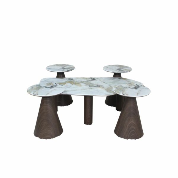 طقم طاولة قهوة وطاولات جانبية 5 قطع بيسال - ابيض وخشبي غامق