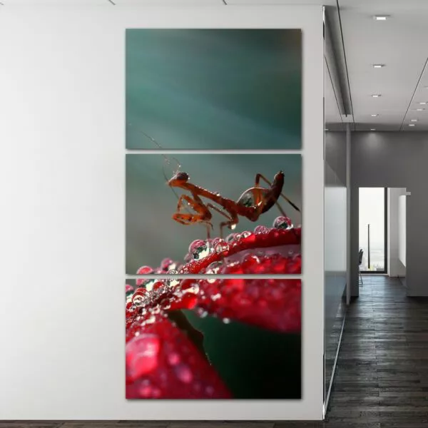 لوحة فنية ثلاث قطع بتصميم الطبيعة - حلزون