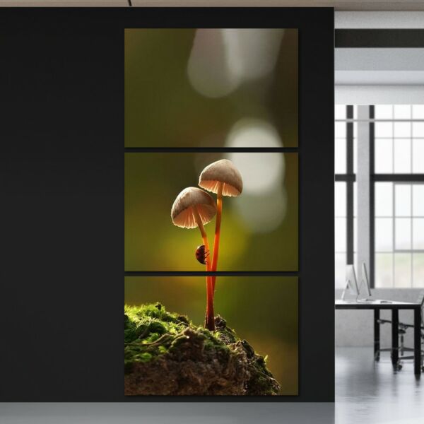 لوحة فنية ثلاث قطع بتصميم الطبيعة - فطر