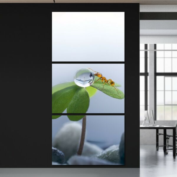 لوحة فنية ثلاث قطع بتصميم الطبيعة - نملة