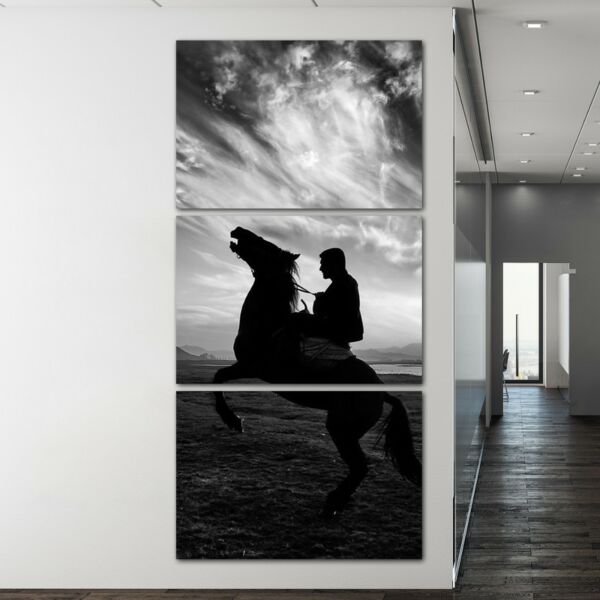 لوحة فنية أرانا ثلاث قطع بتصميم الطبيعة -حصان