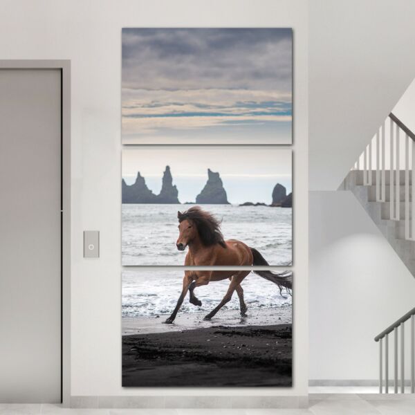 لوحة فنية ماشانا ثلاث قطع بتصميم الطبيعة - حصان