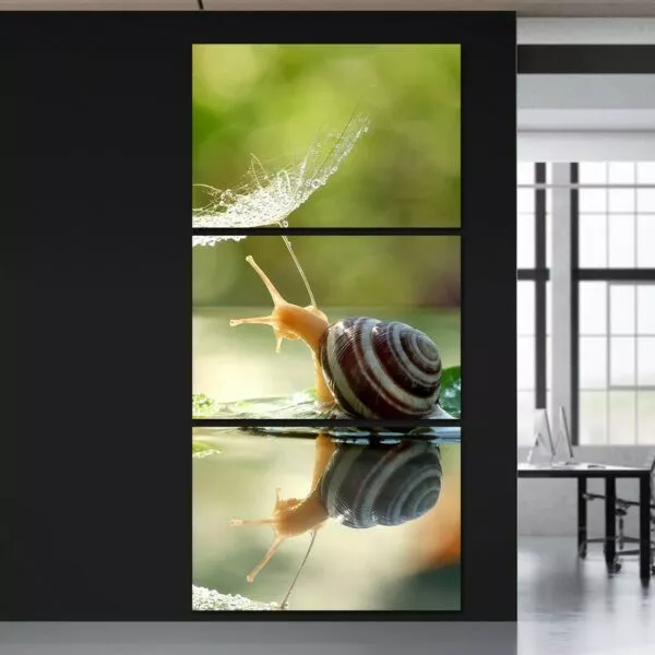 لوحة فنية بتصميم الطبيعة ثلاث قطع- حلزون 