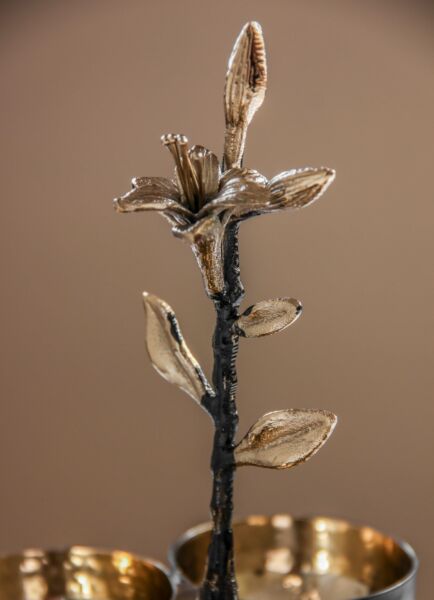 طبق تقديم ليلي