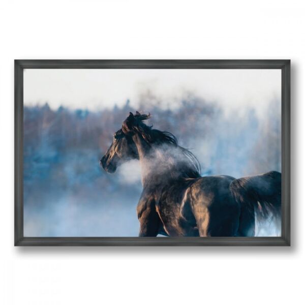 لوحة قماشية بتصميم حصان