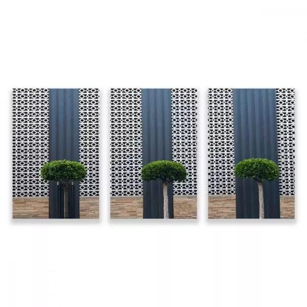 لوحة قماشية بتصميم نبات زينة 60x40 سم - 3 قطع
