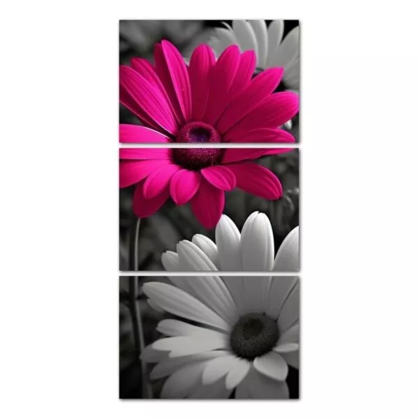 طقم لوحات 120x60 سم اوربيتال