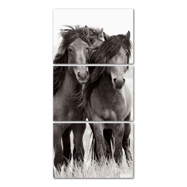 طقم لوحات 120x60 سم كوزمو