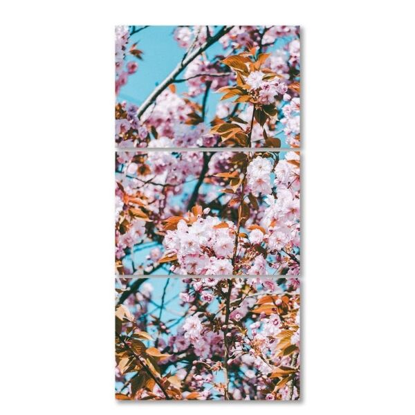 طقم لوحات 120x60 سم سبيس