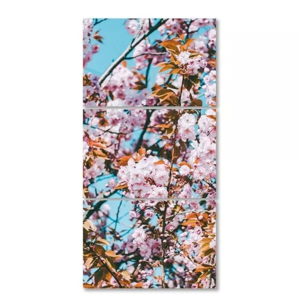 طقم لوحات 120x60 سم سبيس