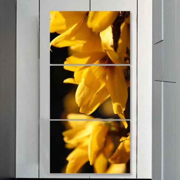 طقم لوحات 120x60 سم سانف