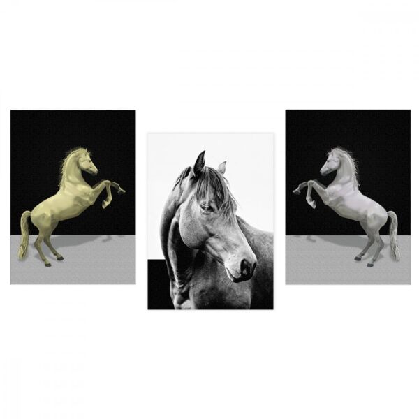 لوحة ديكور قماشية ثلاث قطع مودرن بتصميم حصان