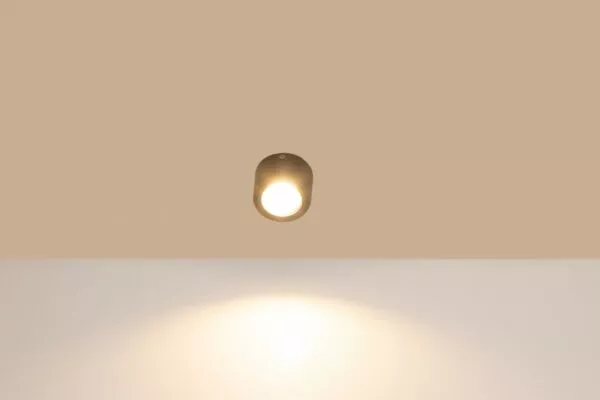 كشاف لطش بارما اسود