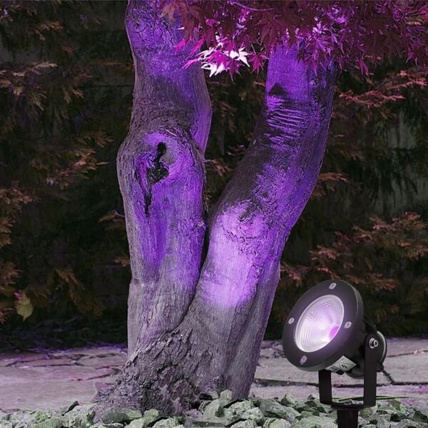 كشاف حديقة غرس متحرك 10 واط