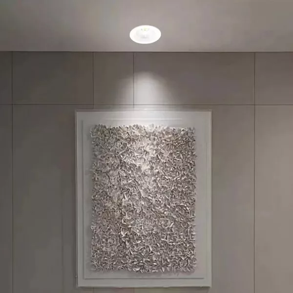 دوان لايت كشاف دفن - شفاف عاكس