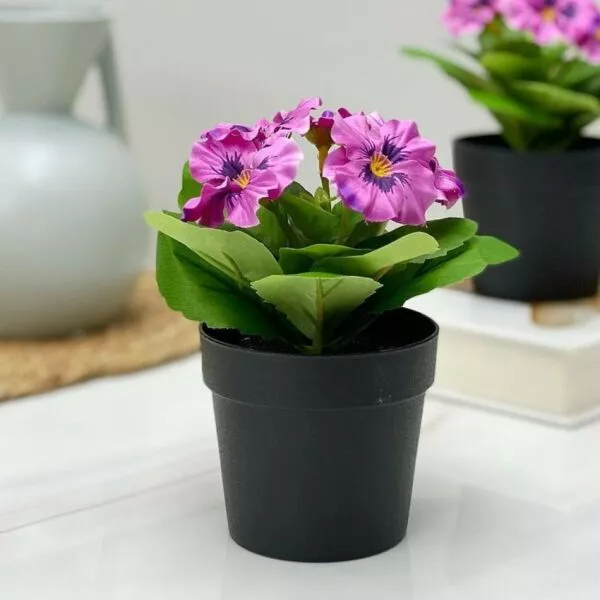 مركن ورد فوشي