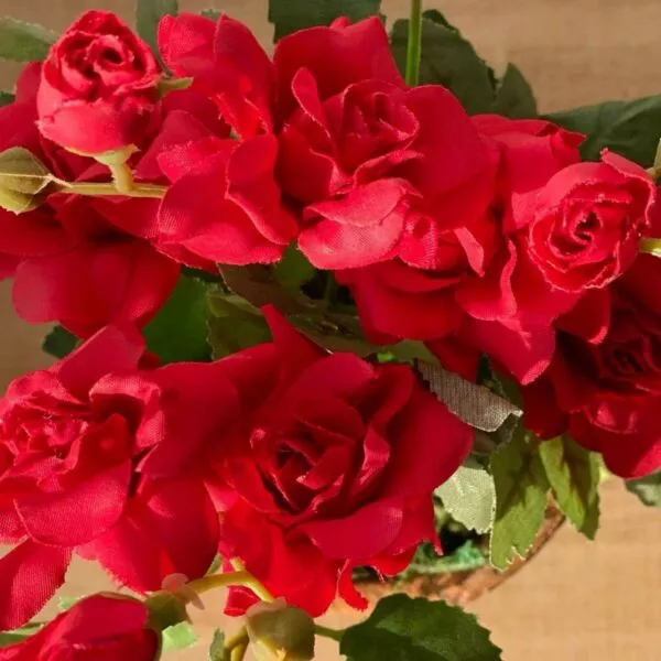 مركن زرع مع نبات صناعي سوزانا