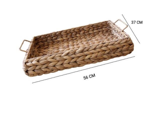 صينية تقديم غراس كبير - بيج