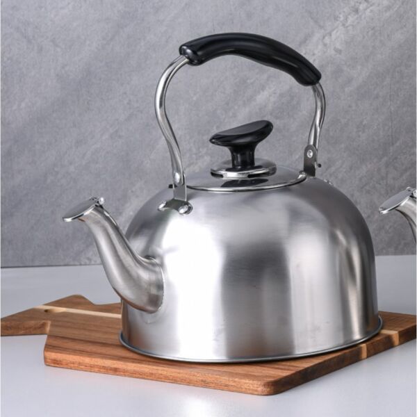 غلاية ماء بصافرة من ترست برو سعة 3.8 ليتر  فضي ميت وأسود 