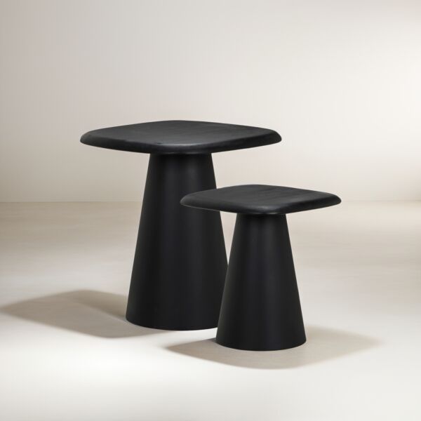 طاولة جانبية سطح خشبي قطعتين رونار - اسود