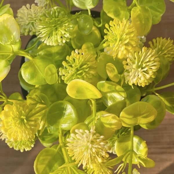 مركن زرع صناعي ميراكي