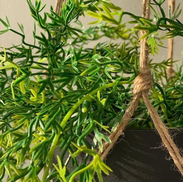 مركن نبات جداري صناعي علاقي