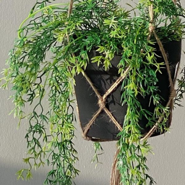 مركن نبات جداري صناعي علاقي