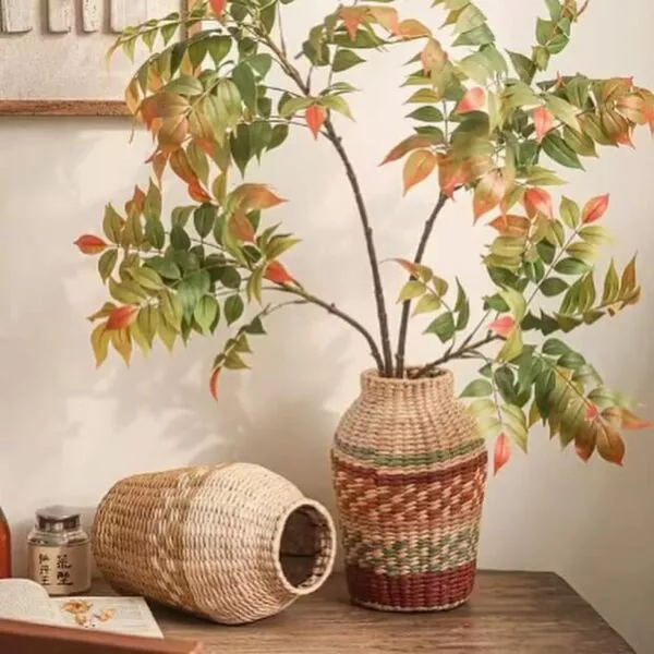 فازة خوص بوهيمي جارادول