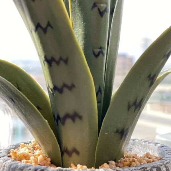 مركن زرع صناعي فخار - 43 سم