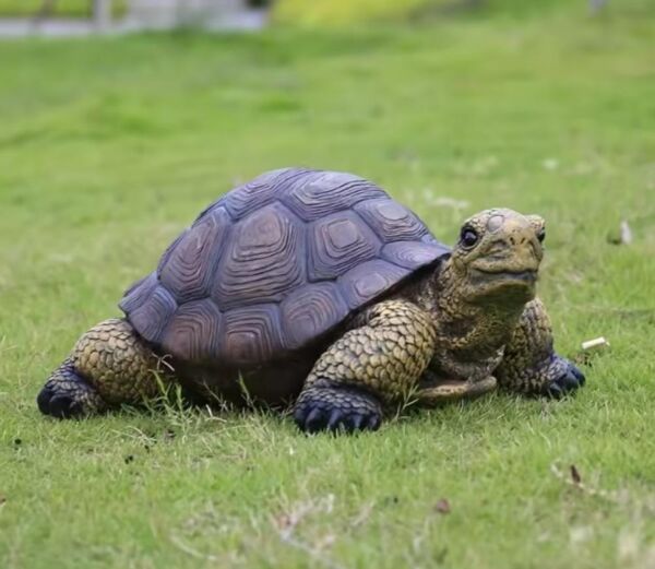 مجسم سلحفاة 25 سم