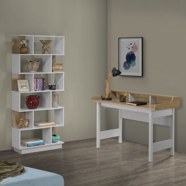 خزانة كتب - ليون