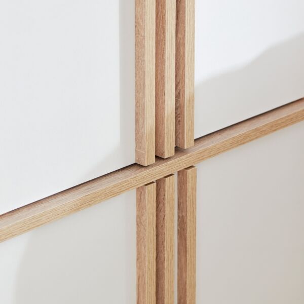 وحدة تخزين 6 أبواب متعددة الاستخدامات من ألفورد أسبن