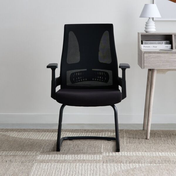 كرسي زائر جينوا