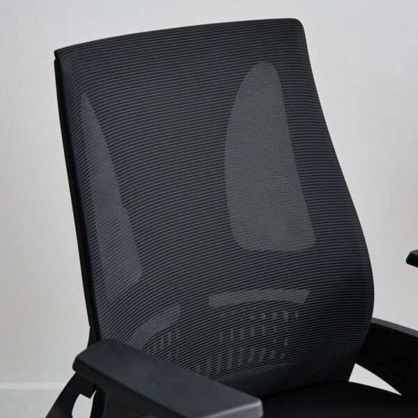 كرسي زائر جينوا