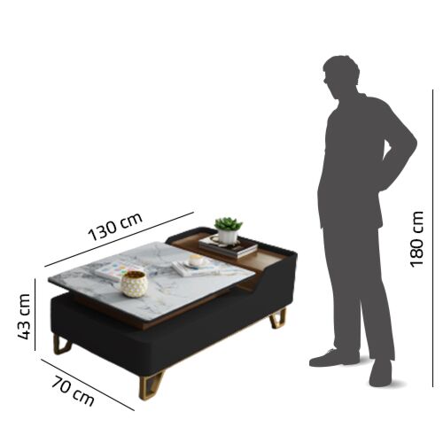 طاولة قهوة مودرن فرانسيس - لون أسود وأبيض وذهبي