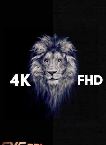 شاشة جي في سي برو 50 بوصة - 4K - webOs
