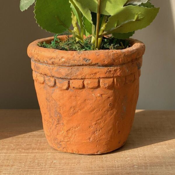 مركن زرع مع نبات صناعي سوزانا