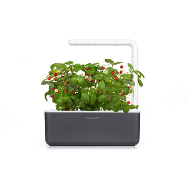 حديقة داخلية ذكية ثلاثية كليك اند قرو - رمادي