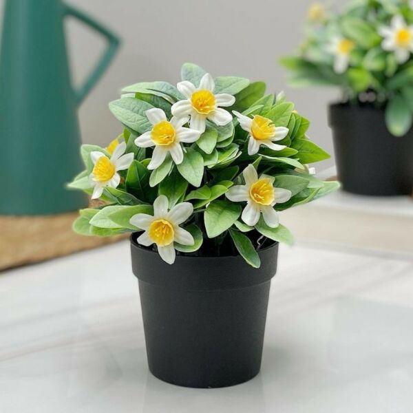 مركن ورد سيرا - اخضر ومتعدد الألوان